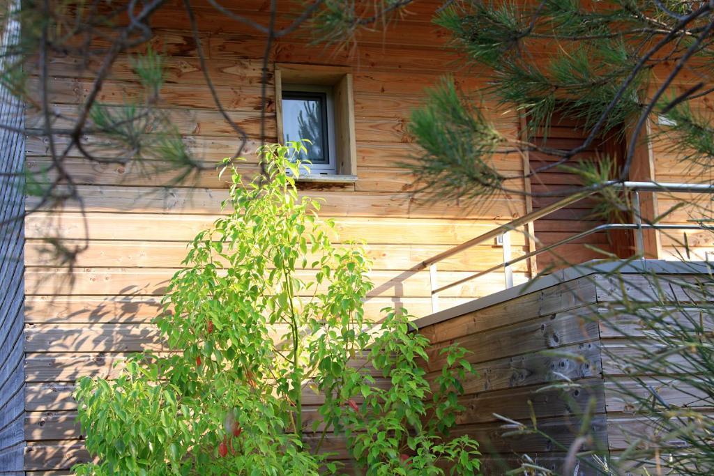 Appartamento con 2 Camere da Letto n° 1 (5 Adulti)